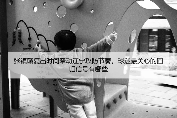 张镇麟复出时间牵动辽宁攻防节奏，球迷最关心的回归信号有哪些
